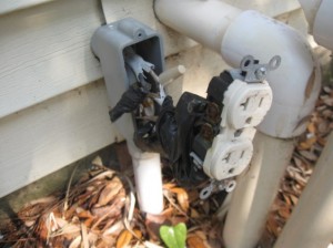 Dangerous Electrical Wiring in Silver Springs