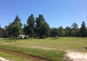 A man in St. Johns County Thursday died after he was shocked trying to clear a tree from an electric line.