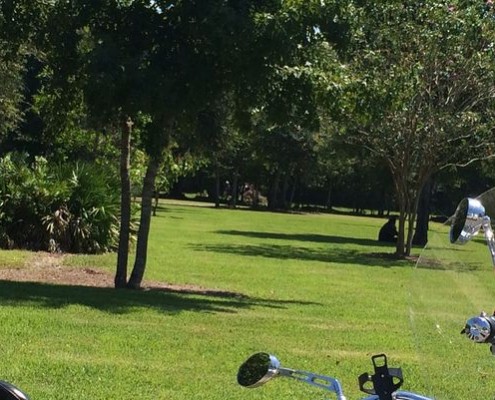 A man in St. Johns County Thursday died after he was shocked trying to clear a tree from an electric line.